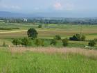 Grundstück West Rumänien für Bauvorhaben